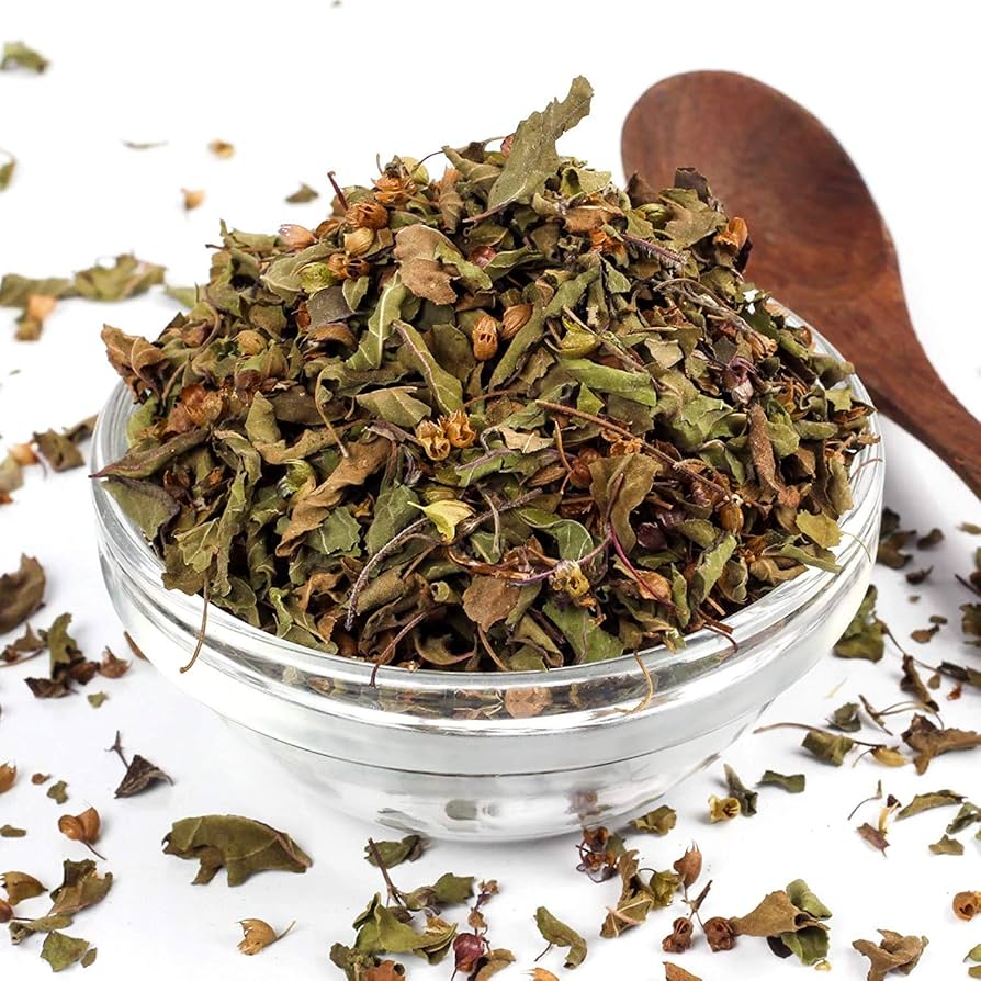 Premium wholesale Shyama Tulsi black holy basil leaves Neemuch Manish Enterprises